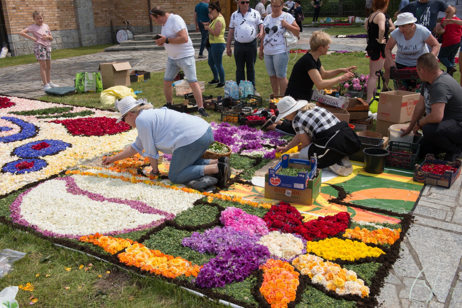 Kilka osób układa dywan z kwiatów, część się przygląda