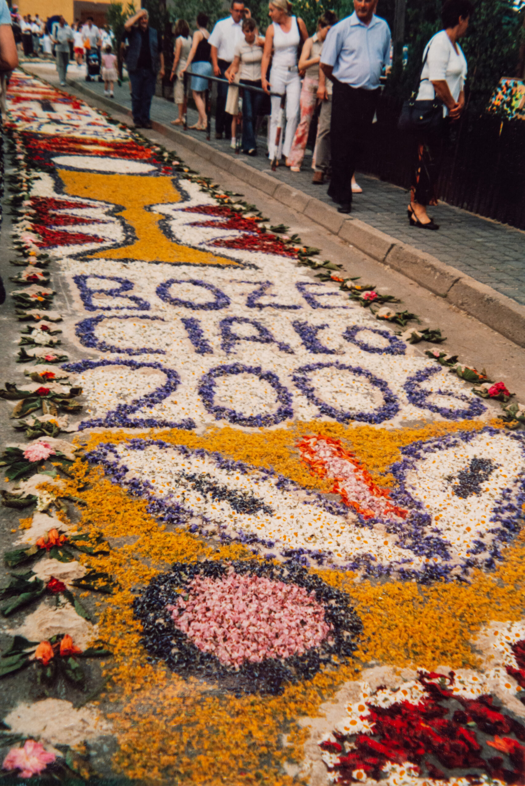 Wielokolorowy dywan kwiatowy złożony z żółtych, białych, czerwonych i fioletowych kwiatów. dywan przedstawia motywy roślinne oraz kielich. W centrum napis 