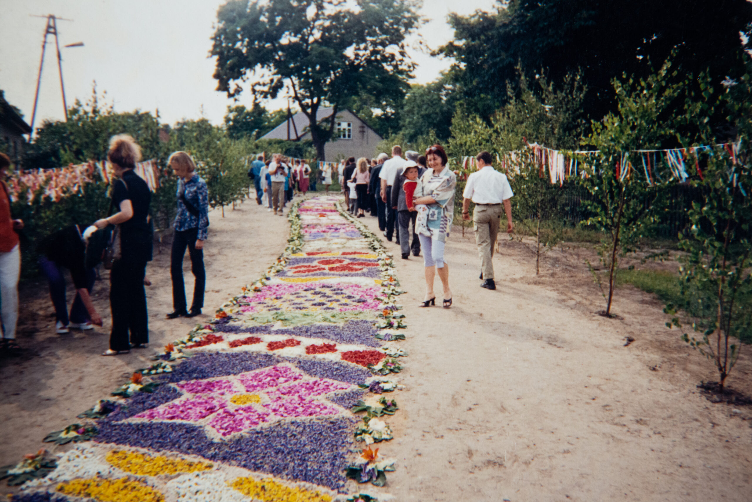 zdjęcie przedstawia dzień obchodów Bożego Ciała. Usypany dywan kwiatowy z wielokolorowych płatków oraz oglądający ludzie po bokach.