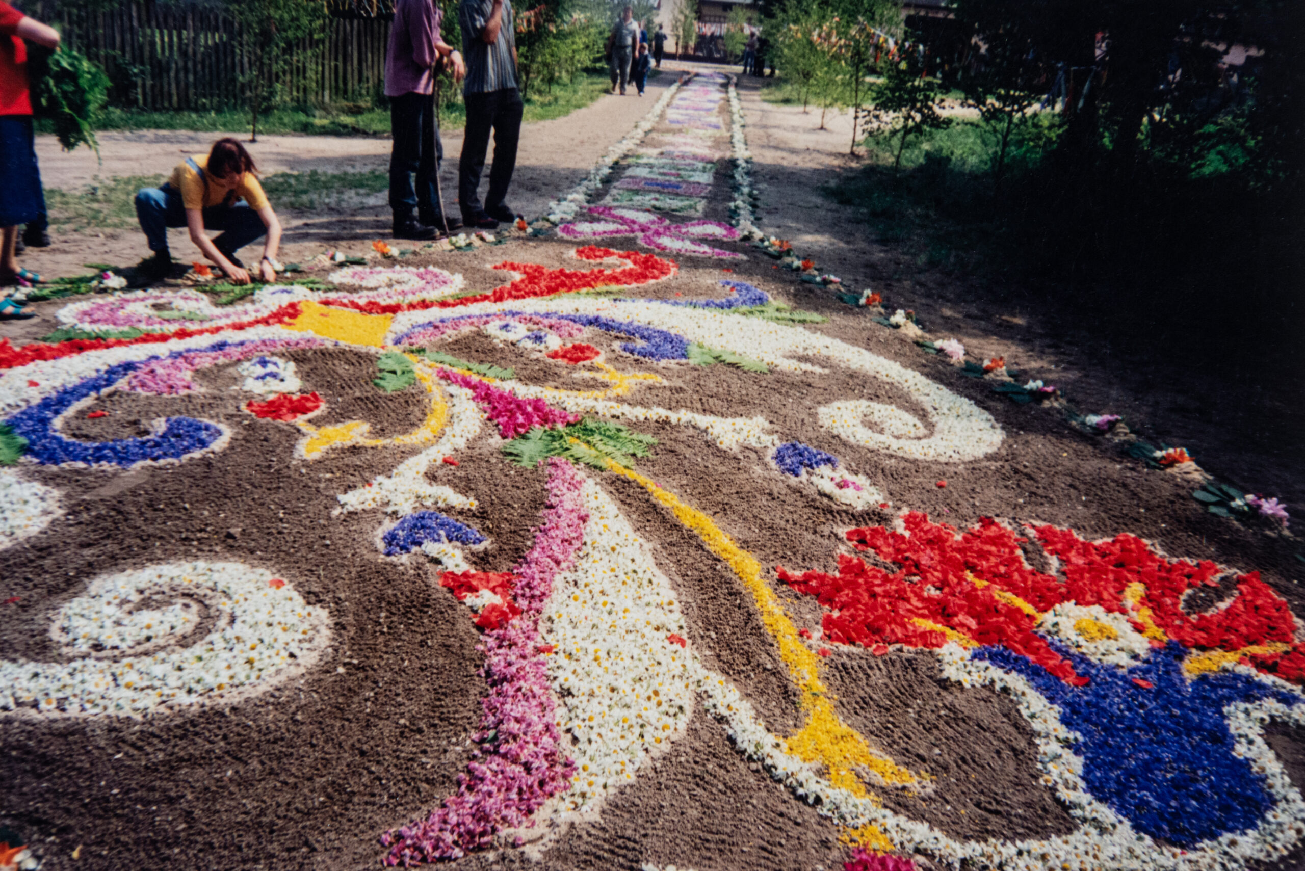 Wielokolorowy dywan kwiatowy złożony z wzorów roślinnych i geometrycznych. Dywan poszerza się zajmując teren całego placu. Układający ludzie i oglądający proces turyści.