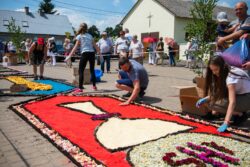 Ludzie ukłądający dywan z kwiatów, z motywem kielicha. Wokół zgromadzeni ludzie